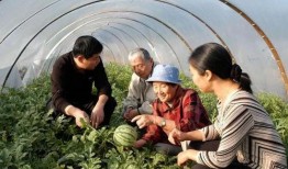 河北保定徐水吃瓜,夏日炎炎，吃瓜群众欢乐多