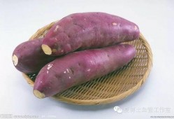 地薯瓜怎么吃,探索美味与营养的完美结合