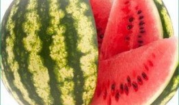 怀孕可以吃不老瓜吗,孕妇可否食用不老瓜？