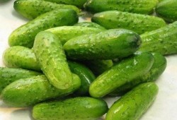 吃秋瓜乜好,秋季吃瓜的五大益处揭秘