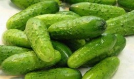 吃秋瓜乜好,秋季吃瓜的五大益处揭秘