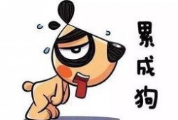 网上吃瓜现实累趴,揭秘网络狂欢背后的疲惫人生