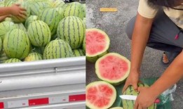 最新大漠瓜客吃瓜视频,揭秘瓜界风云，笑料百出！