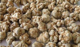 五瓜三七生吃,生食秘方，健康生活新篇章