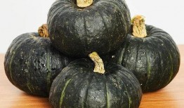 孩子如何吃贝贝瓜最好,让孩子健康美味双丰收