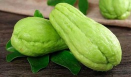 黄晓菁吃瓜,揭秘娱乐圈幕后故事