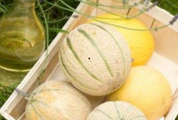 白和黑吃瓜,揭秘娱乐圈幕后风云