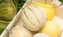 白和黑吃瓜,揭秘娱乐圈幕后风云