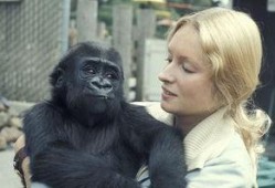 吃瓜女变猩猩,揭秘猩猩奇幻之旅