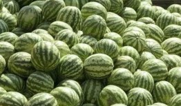 益阳吃瓜事件真相,真相与反思