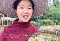 六姑娘吃瓜,揭秘娱乐圈背后的那些事儿