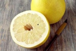 柚儿基地吃瓜,瓜果飘香，共享田园乐趣