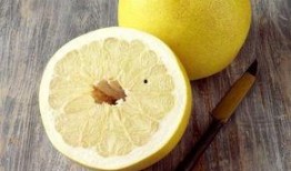 柚儿基地吃瓜,瓜果飘香，共享田园乐趣