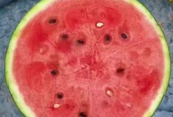 最好的吃瓜神器,畅享瓜界盛宴的秘密武器