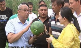 吃瓜群众博士,揭秘娱乐圈背后的真相与内幕