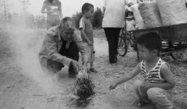 青海回族吃瓜事件视频,一场引发社会关注的饮食文化冲突