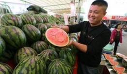 抢瓜吃的视频大全,抢瓜视频大全趣味盘点