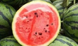 大掉瓜怎么吃,大掉瓜的多样食用攻略