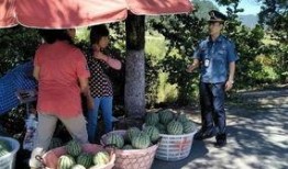 临海吃瓜群众新闻,吃瓜群众聚焦最新新闻事件