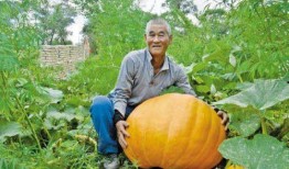 我胃疼吃瓜,探寻缓解胃痛的美食疗法