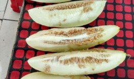 胃溃疡可以吃绿宝瓜吗,胃溃疡患者适宜食用绿宝瓜的饮食建议