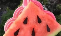 身心吃瓜,探寻现代生活的快乐源泉