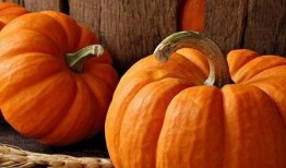 宝宝吃小圆瓜,小圆瓜营养美味大揭秘