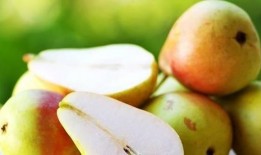 柚儿基地吃瓜,瓜果飘香，共享田园乐趣