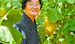 吃瓜的木子同学,瓜界风云录