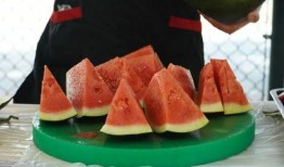 鹤岗职业吃瓜,揭秘网络红人的另类生存之道