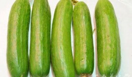 夏吃瓜的好处,夏吃瓜的好处大盘点