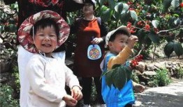 吃树瓜山歌,探寻民间音乐的绿色宝藏