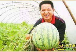 厦门吃瓜墙,街头巷尾的美食故事与人间烟火