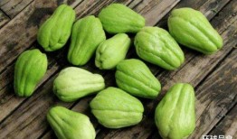 当菜吃的瓜有点佛手瓜,当菜吃的瓜，养生又美味