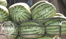 吃瓜第36天,热点事件背后的真相与反思