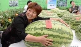 大兴吃瓜比赛,一场舌尖上的狂欢盛宴