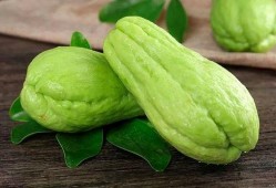 河婆吃瓜,揭秘民间趣味生活点滴