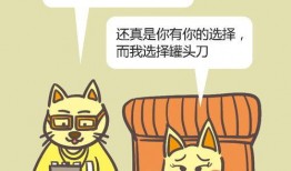 吃瓜喵A,揭秘娱乐圈那些不为人知的幕后故事