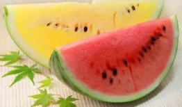 吃瓜群众属于什么类,网络时代的社交观察者群体