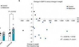 吃二甲双瓜体重增加吗,二甲双瓜摄入与体重变化解析