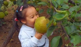 莱阳宝山小区吃瓜,一场吃瓜盛宴背后的邻里温情