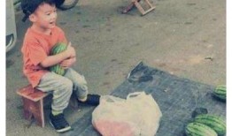 青海回族吃瓜事件视频,一场引发社会关注的饮食文化冲突