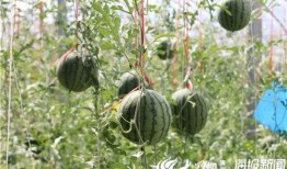 最新吃瓜基地,娱乐圈风云再起，明星幕后故事大曝光