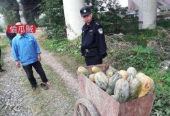 益阳吃瓜事件真相,真相与反思