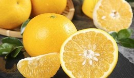 柚儿基地吃瓜,瓜果飘香，共享田园乐趣