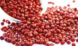 吃瓜网红豆,揭秘娱乐圈幕后故事