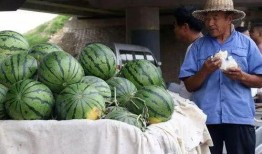 益阳吃瓜事件真相,真相与反思