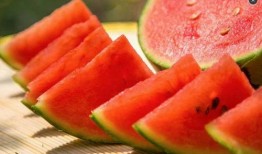 吃瓜经贸,揭秘瓜类产业的经济奇迹