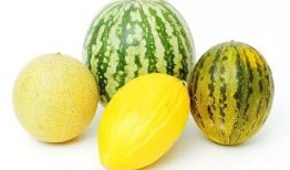 吃瓜前兆,揭秘娱乐圈背后的秘密