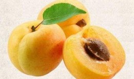 汾阳有什么瓜吃,探寻当地特色瓜类美食之旅